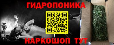 прущие грибы Краснознаменск