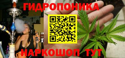 прущие грибы Краснознаменск