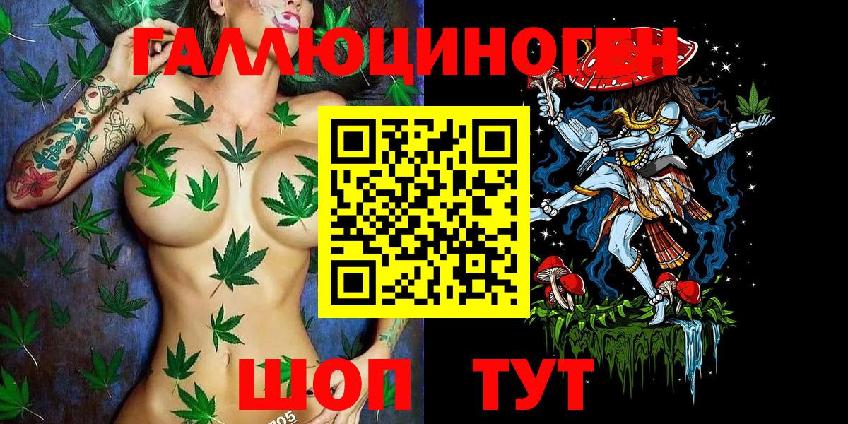 Псилоцибиновые грибы GOLDEN TEACHER  Вход с VPN  Владимир 
